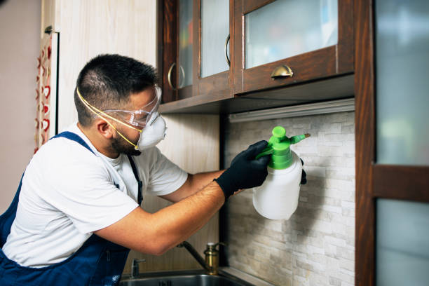 Professional Pest Control in Holly Springs, GA
