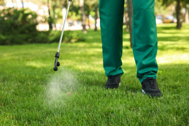 Best Bed Bug Extermination  in Holly Springs, GA