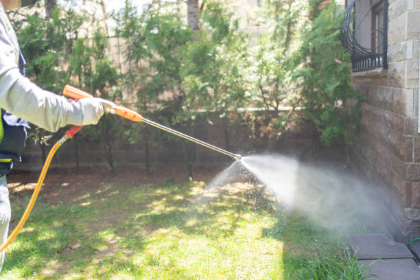 Best Rat Extermination Near Me  in Holly Springs, GA