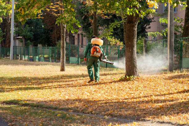  Holly Springs, GA Pest Control Pros