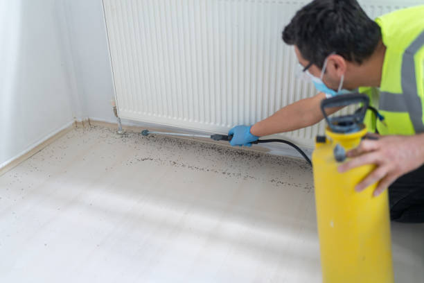 Best Ant Control Services  in Holly Springs, GA