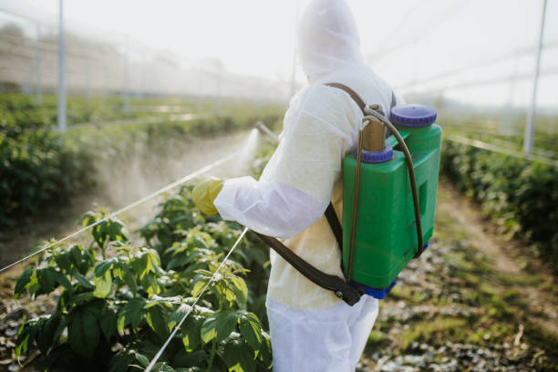 Best Pest Control Near Me in Holly Springs, GA